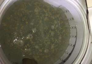 雙桶洗衣機有時不轉怎么回事 雙桶洗衣機有時不轉解決方法