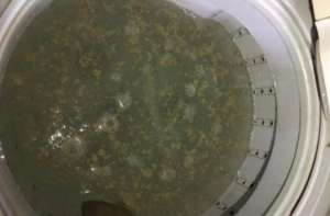 半自動(dòng)洗衣機(jī)不排水的原因 半自動(dòng)洗衣機(jī)不排水解決方法