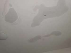 屋頂漏水zui實用的解決辦法！